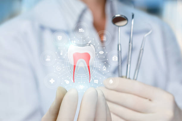 Best Dental Exams and Cleanings  in Stewartville, MN